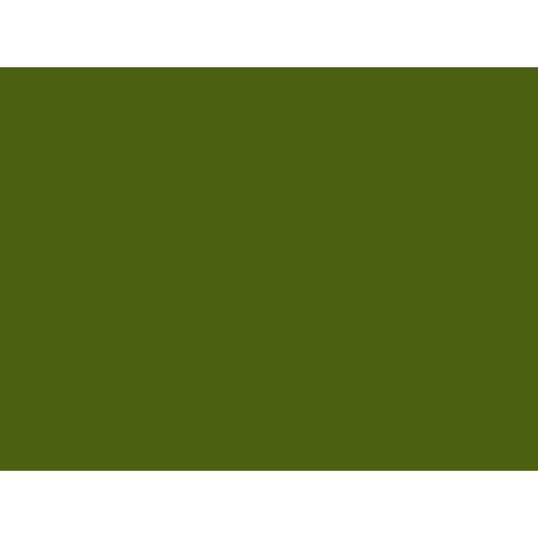 Lakier RC CAR [155] Olive